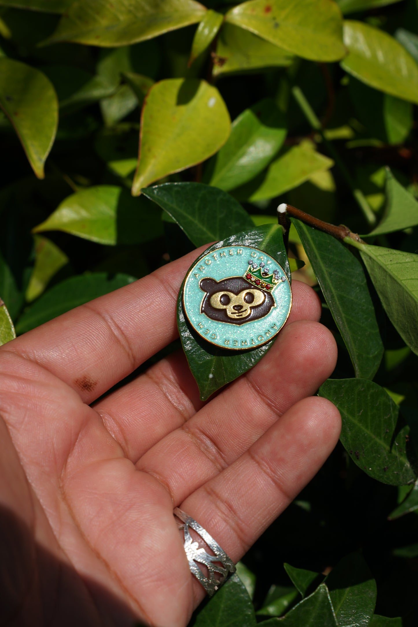 WOLF Coin๐บ๐